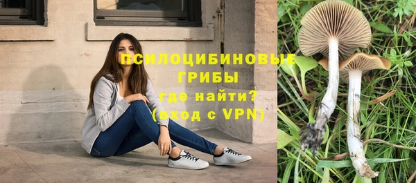 jwh Абаза