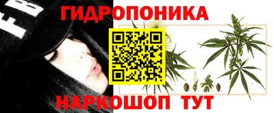 спайс Свободный