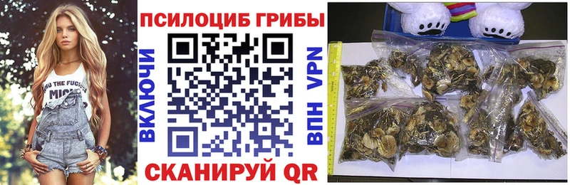 Галлюциногенные грибы Psilocybine cubensis купить Топки
