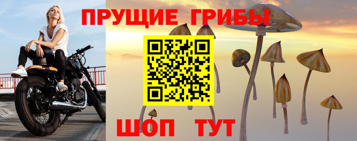 Галлюциногенные грибы Magic Shrooms  Псилоцибиновые грибы мухоморы  Вход с VPN  Топки 