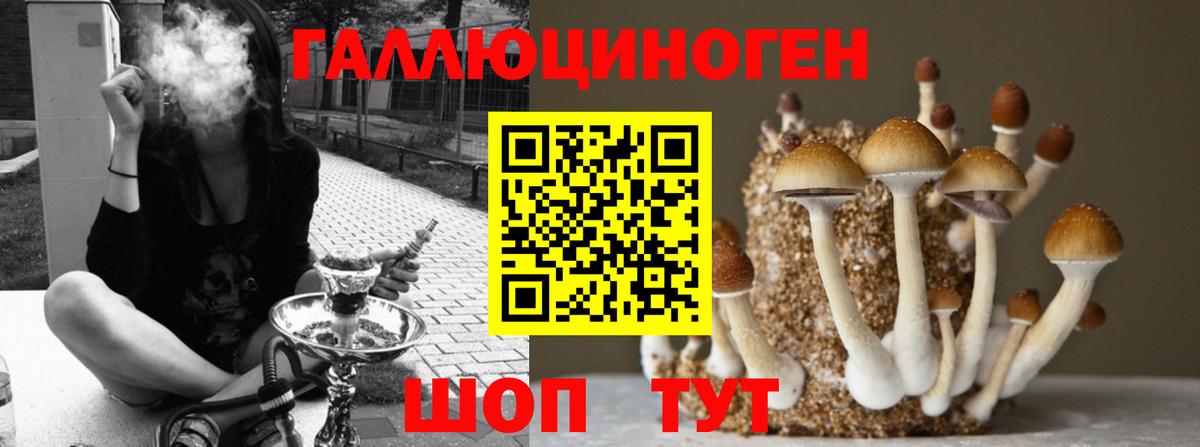 Галлюциногенные грибы прущие грибы Топки